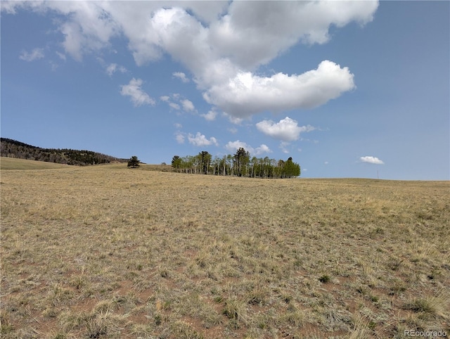 8802 Ranch Rd, Hartsel, CO 80449