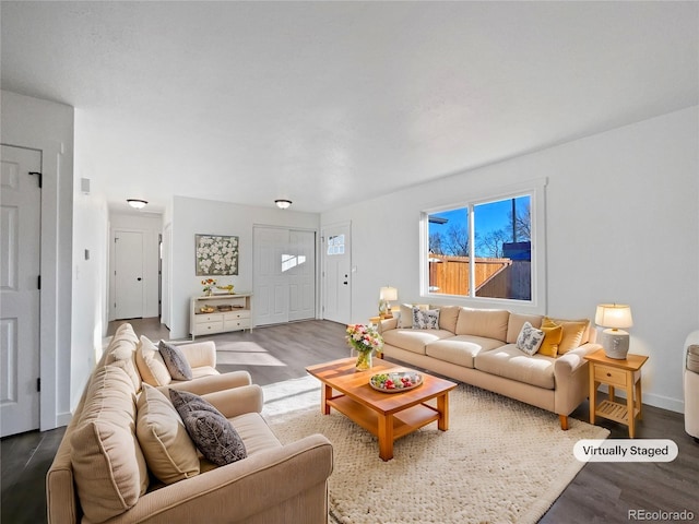 living room with wood-type flooring