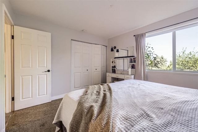 8450 Decatur St Unit 97, Westminster, CO 80031 - bedroom featuring carpet and a closet