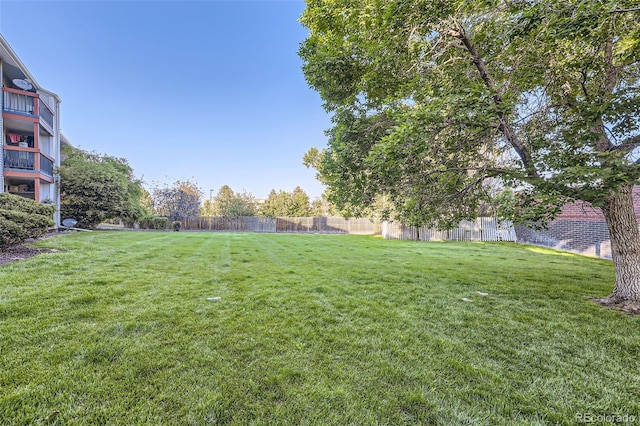 8450 Decatur St Unit 97, Westminster, CO 80031 - view of yard