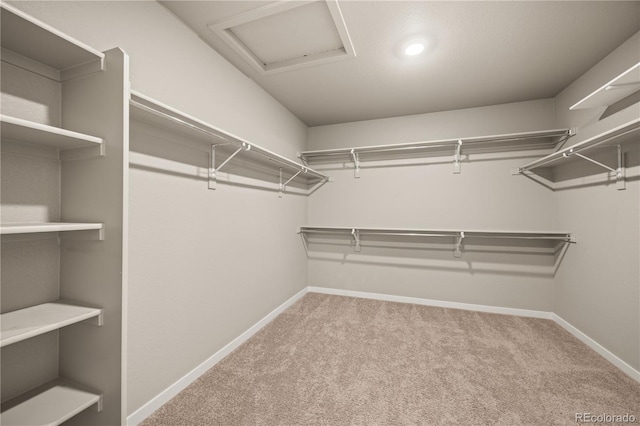 4986 Cattle Cross Ln, Castle Rock, CO 80104 - photo 23