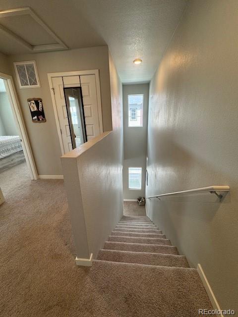 1353 Reynolds St Unit 5A, Fort Lupton, CO 80621 - stairs featuring carpet, baseboards, and a textured ceiling