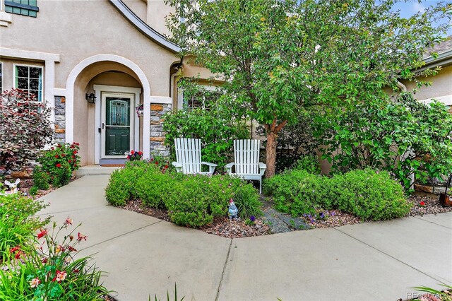 10259 Peach Blossom Trl, Colorado Springs, CO 80920 - photo 3