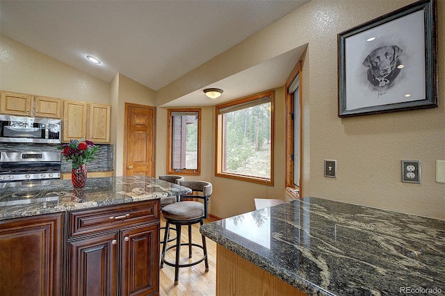 199 Elk Horn Ct, Bailey, CO 80421 - kitchen featuring stainless steel appliances, light wood-style flooring, a breakfast bar, dark stone countertops, and lofted ceiling