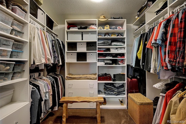 199 Elk Horn Ct, Bailey, CO 80421 - spacious closet featuring carpet floors