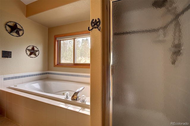 199 Elk Horn Ct, Bailey, CO 80421 - full bathroom featuring a stall shower and a bath
