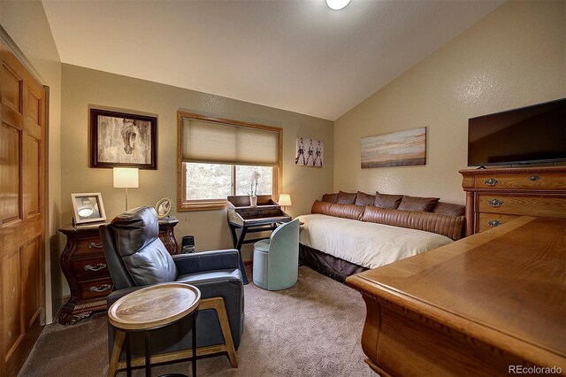 199 Elk Horn Ct, Bailey, CO 80421 - carpeted bedroom with vaulted ceiling