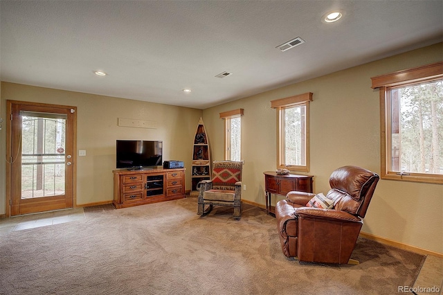 199 Elk Horn Ct, Bailey, CO 80421 - living area featuring healthy amount of natural light, baseboards, light carpet, and recessed lighting