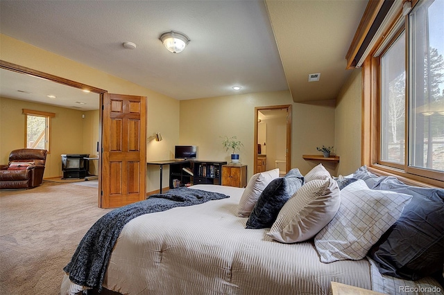 199 Elk Horn Ct, Bailey, CO 80421 - bedroom with carpet flooring