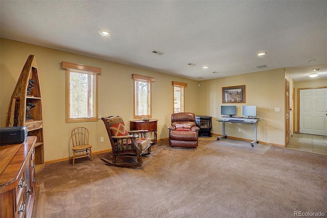 199 Elk Horn Ct, Bailey, CO 80421 - living area featuring a wood stove, light colored carpet, baseboards, and recessed lighting