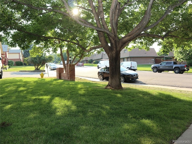 7700 W Glasgow Pl Unit 1A, Littleton, CO 80128 - view of green lawn