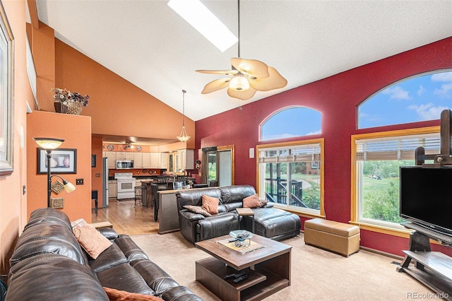 13309 Franklin St, Thornton, CO 80241 - photo 12