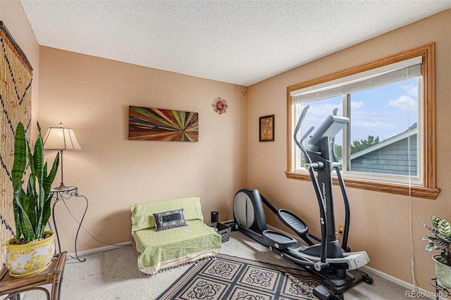 13309 Franklin St, Thornton, CO 80241 - photo 23