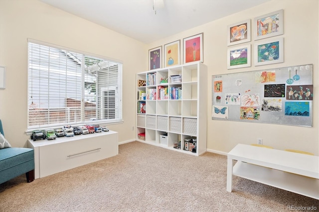1351 Mulberry Ln, Highlands Ranch, CO 80129 - photo 10