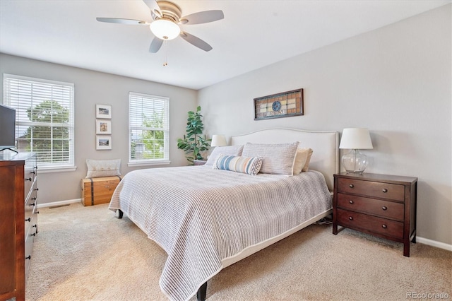 1351 Mulberry Ln, Highlands Ranch, CO 80129 - photo 13