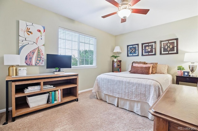 1351 Mulberry Ln, Highlands Ranch, CO 80129 - photo 18