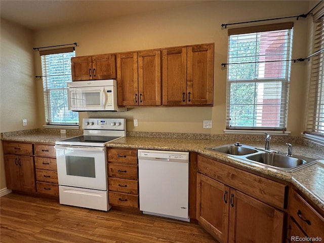 kitchen featuring white appliances, sink, and light hardwood / wood-style floors