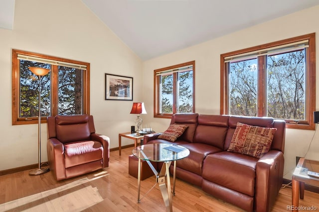 living room with high vaulted ceiling and light hardwood / wood-style floors