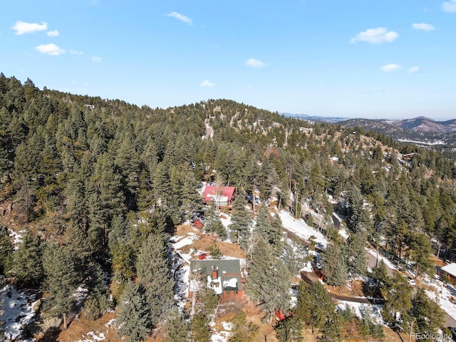 birds eye view of property featuring a mountain view