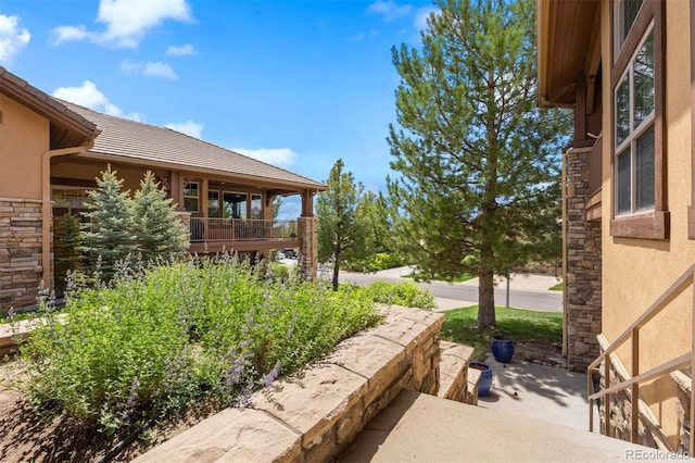4364 Chateau Ridge Ln, Castle Rock, CO 80108 - view of yard