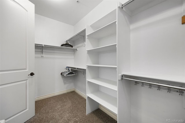4364 Chateau Ridge Ln, Castle Rock, CO 80108 - walk in closet with dark colored carpet