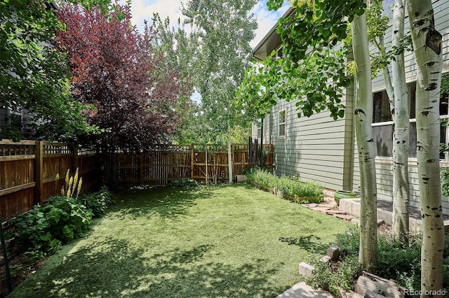 3544 Beeler St, Denver, CO 80238 - photo 36