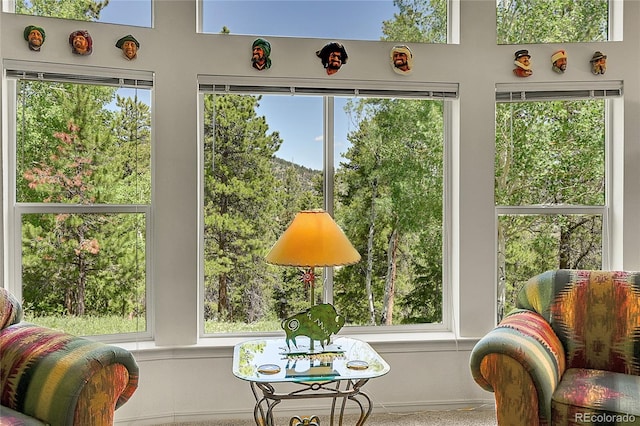 153 Gold Run Trl, Idaho Springs, CO 80452 - sunroom with plenty of natural light