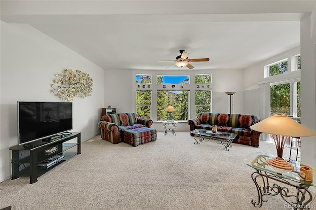 153 Gold Run Trl, Idaho Springs, CO 80452 - living area featuring carpet floors and ceiling fan