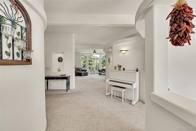 153 Gold Run Trl, Idaho Springs, CO 80452 - hallway featuring carpet floors