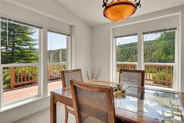 153 Gold Run Trl, Idaho Springs, CO 80452 - dining space featuring lofted ceiling