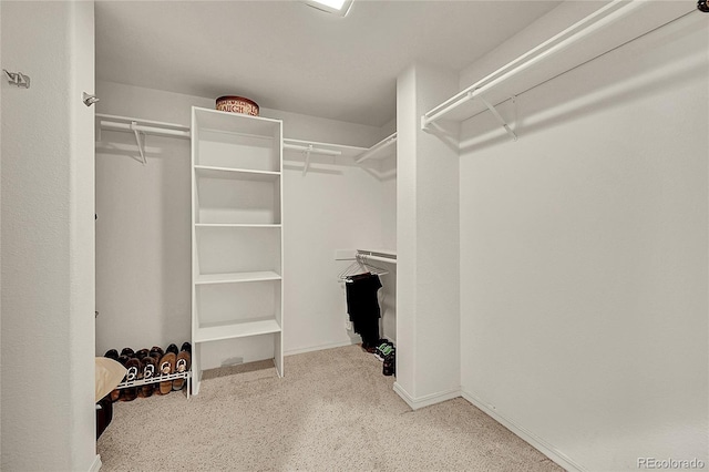 153 Gold Run Trl, Idaho Springs, CO 80452 - walk in closet featuring carpet