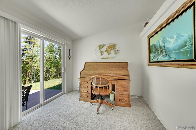 153 Gold Run Trl, Idaho Springs, CO 80452 - office space with carpet floors and lofted ceiling