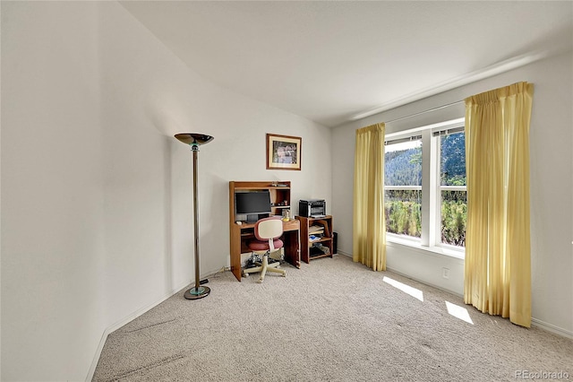 153 Gold Run Trl, Idaho Springs, CO 80452 - office with light carpet
