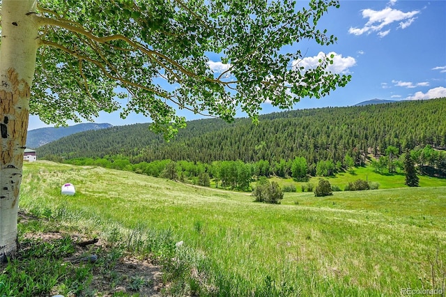153 Gold Run Trl, Idaho Springs, CO 80452 - mountain view with a heavily wooded area