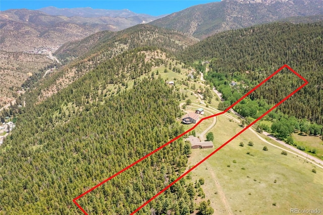 153 Gold Run Trl, Idaho Springs, CO 80452 - aerial view of property and surrounding area with a forest and property parcel outlined