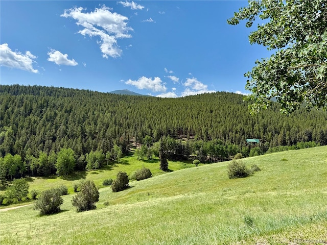153 Gold Run Trl, Idaho Springs, CO 80452 - mountain view featuring a heavily wooded area