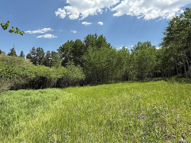 153 Gold Run Trl, Idaho Springs, CO 80452 - view of woods