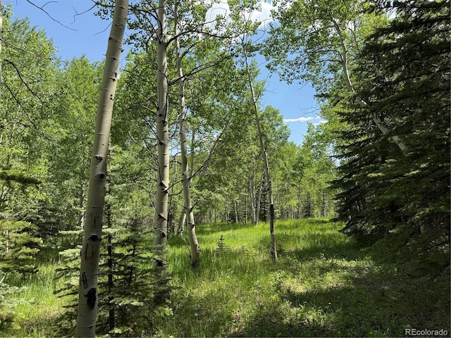 153 Gold Run Trl, Idaho Springs, CO 80452 - view of tree filled area