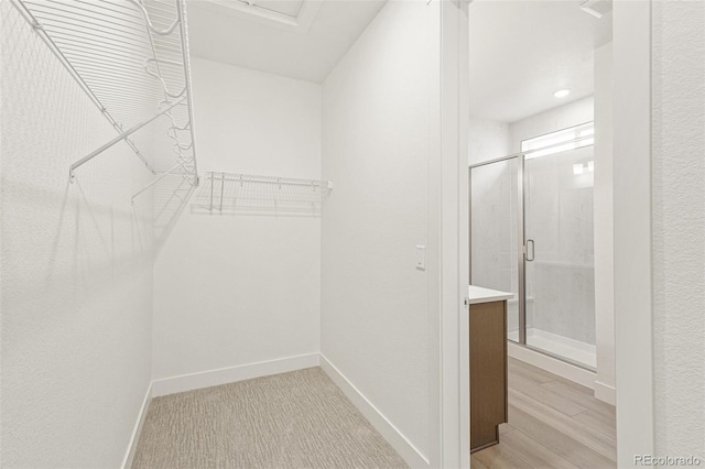 20590 E 58th Ave, Aurora, CO 80019 - view of walk in closet