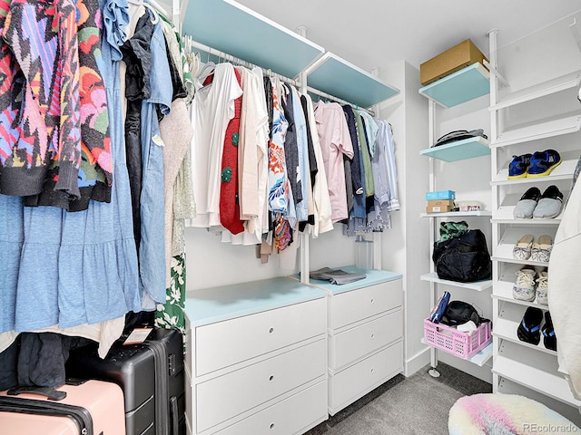 spacious closet featuring carpet