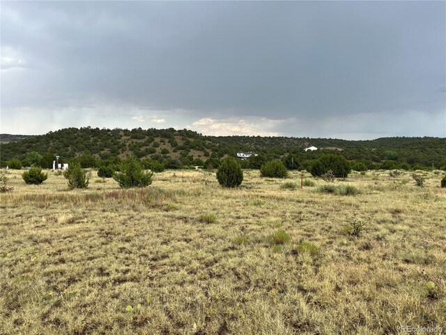 Pinon Ter, Trinidad, CO 81082