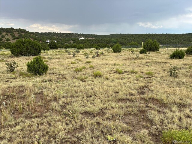 Pinon Ter, Trinidad, CO 81082