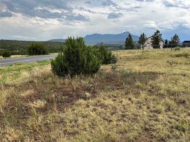 Pinon Ter, Trinidad, CO 81082