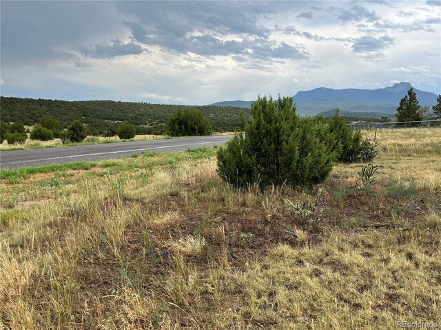 Pinon Ter, Trinidad, CO 81082
