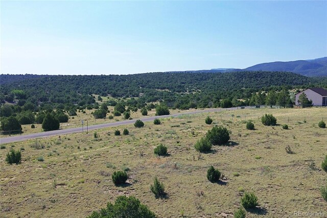 Pinon Ter, Trinidad, CO 81082