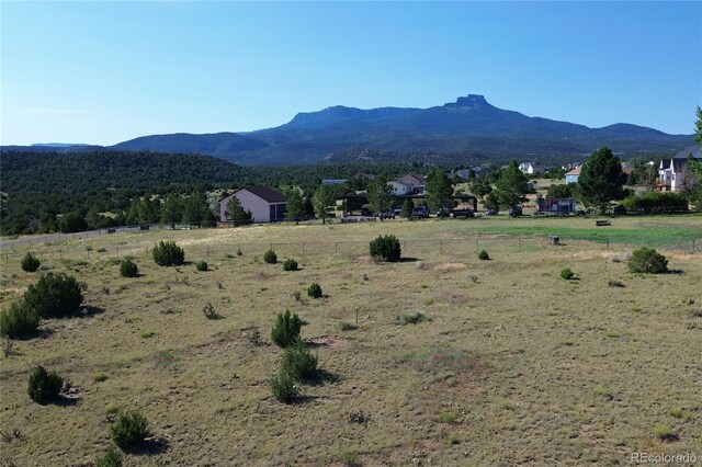 Pinon Ter, Trinidad, CO 81082