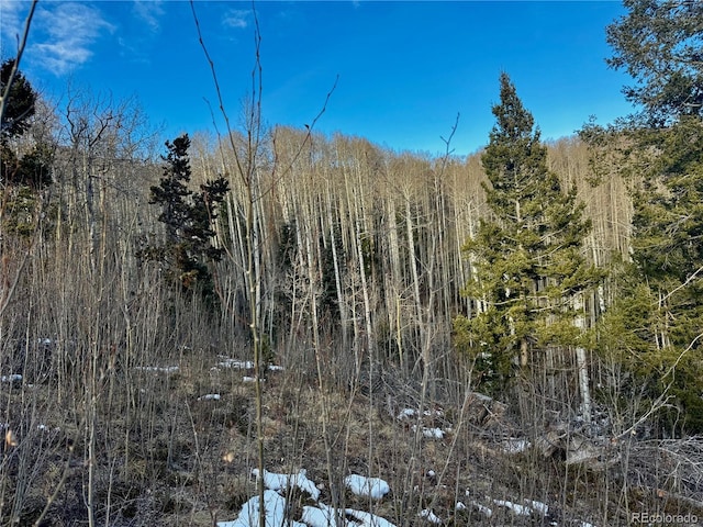 LOT5850 Richardson Rd, Fort Garland CO, 81153 land for sale