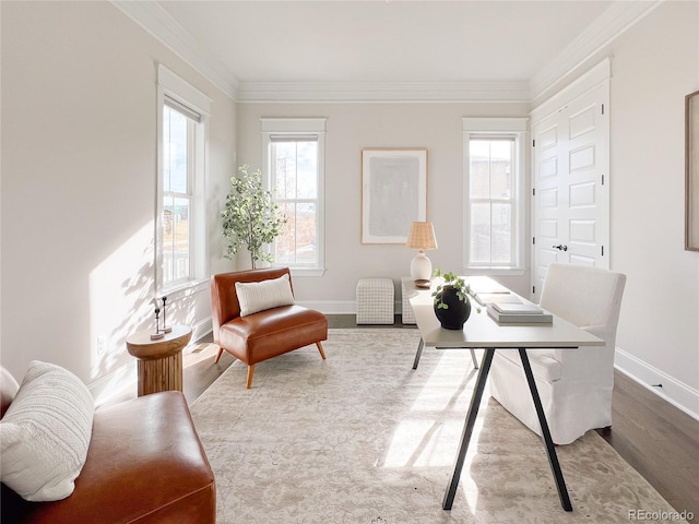 home office featuring ornamental molding and hardwood / wood-style flooring