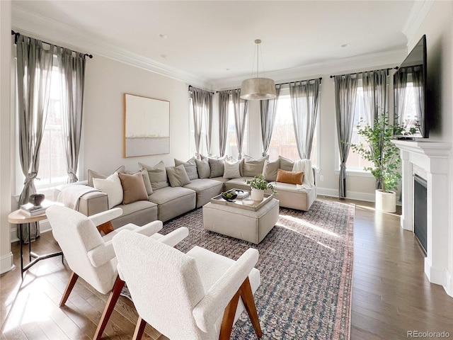 living room featuring dark hardwood / wood-style flooring, plenty of natural light, and ornamental molding