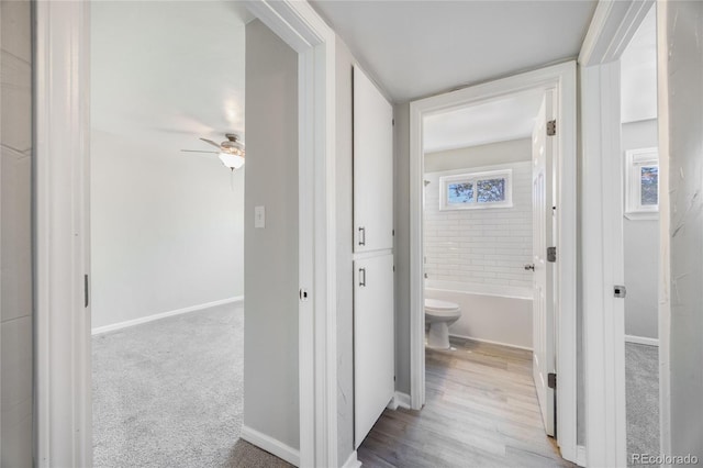 1560 Pueblo Ct, Thornton, CO 80229 - corridor featuring baseboards and carpet flooring